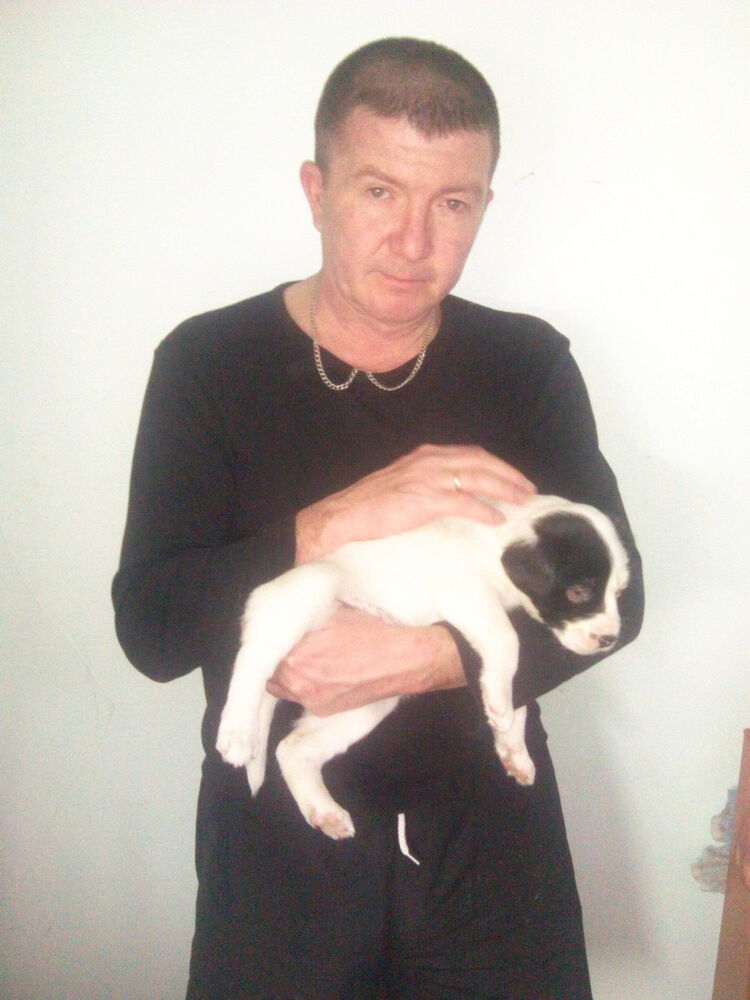  ,   , 52 ,   