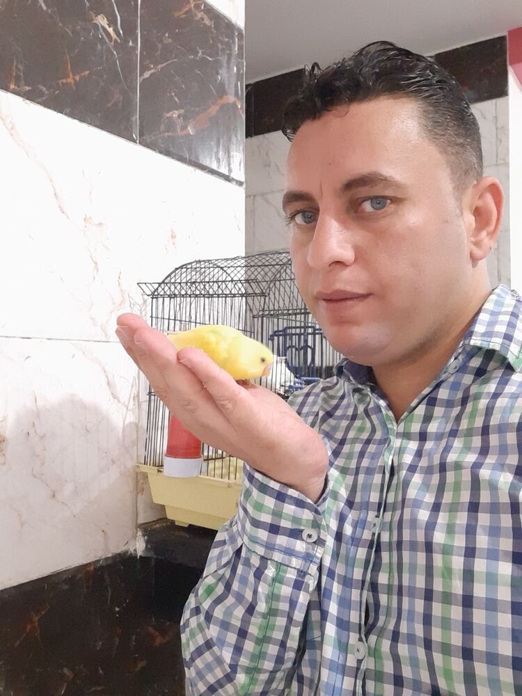  26923185  Mahmoud, 36 ,    Al Ghardaqah
