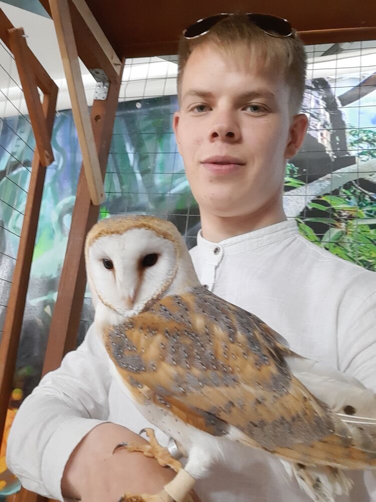 ���������� ������ ��������, ���� ������� �����, 30 ���, ������������ ��� ������, ����� � ���������