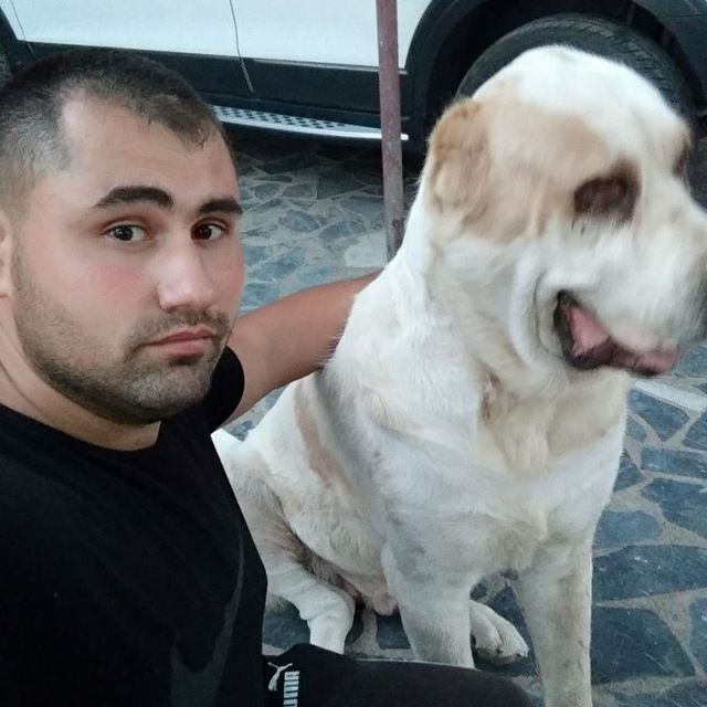 ���������� �������, ���� ������� ������, 35 ���, ������������ ��� ������, ����� � ���������