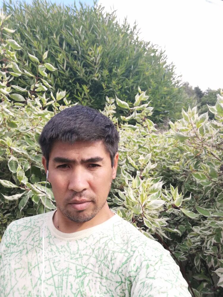  ,   kuzi, 42 ,   ,   