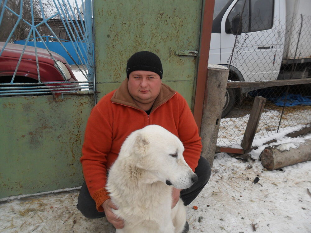 ���������� ������ ���, ���� ������� �������, 45 ���, ������������ ��� ������, ����� � ���������, c�������� ���������