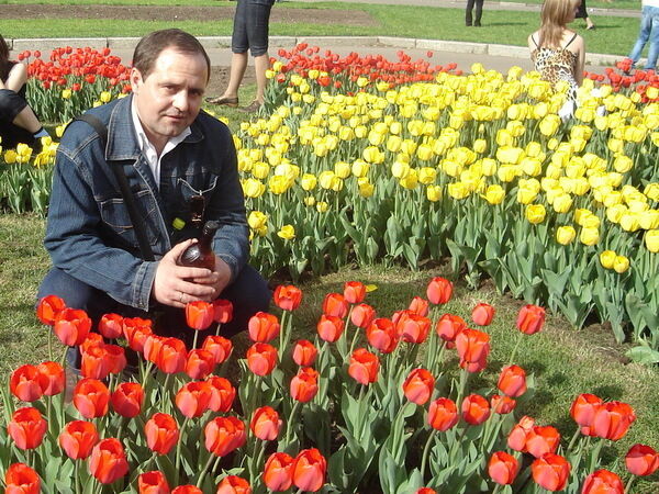  ,   , 56 ,   ,   