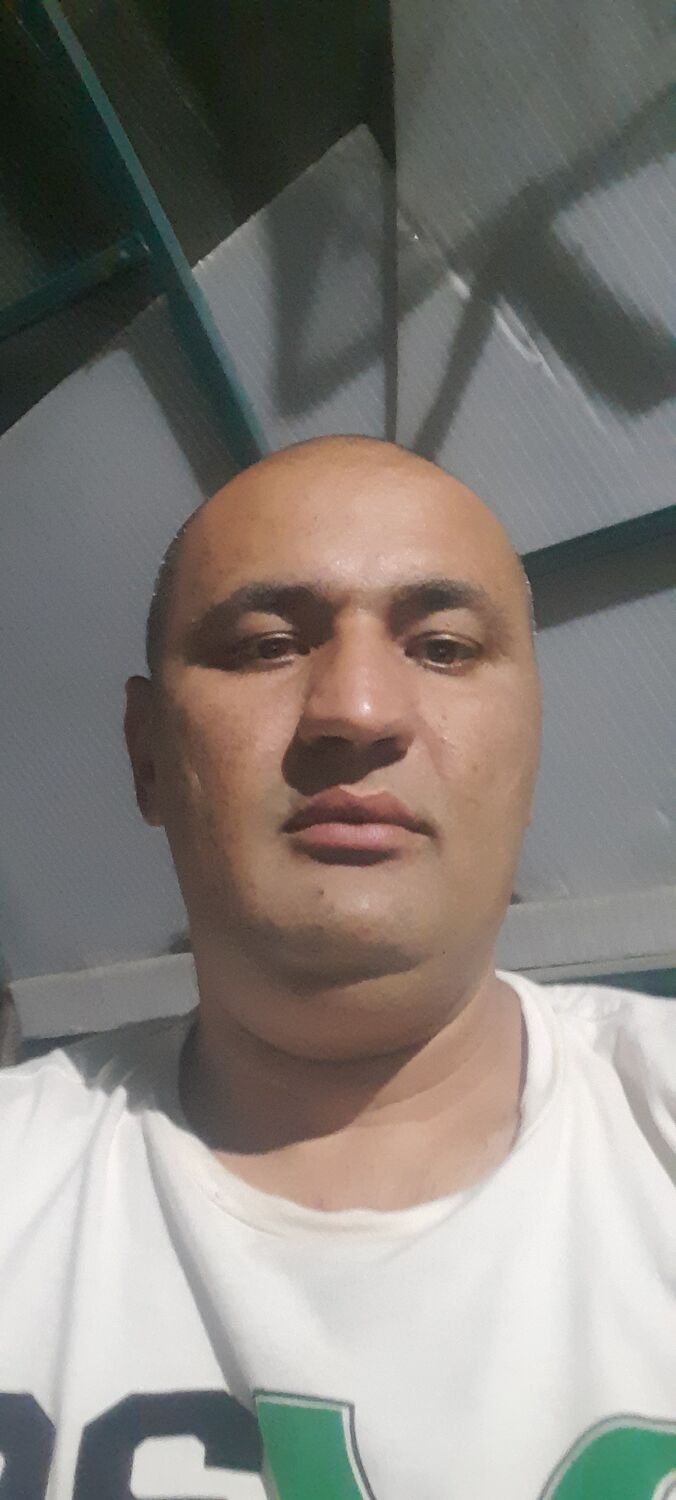  28302815  , 38 ,    