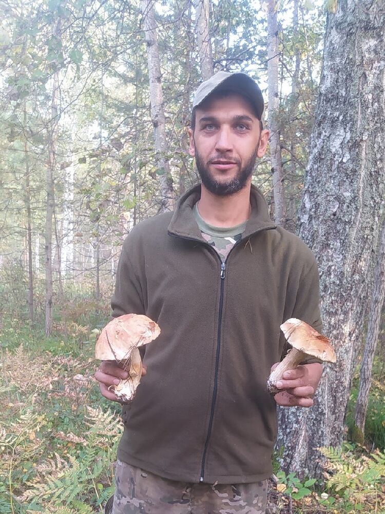 ���������� ������������, ���� ������� �������, 38 ���, ������������ ��� ������, ����� � ���������, c�������� ���������