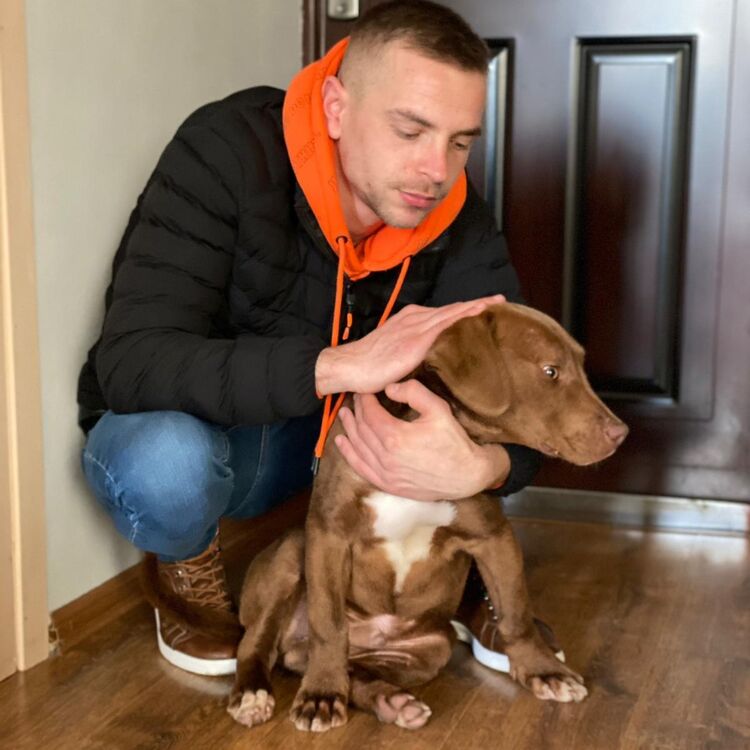  ,   Dumitru, 28 ,   ,   , c , 