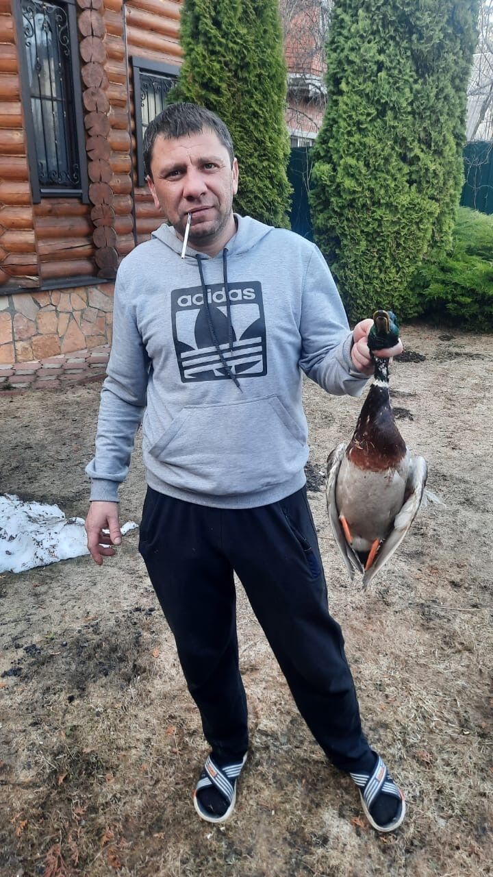 ���� 25588305 ������� ������, 42 ����, ���� ���������� � ������