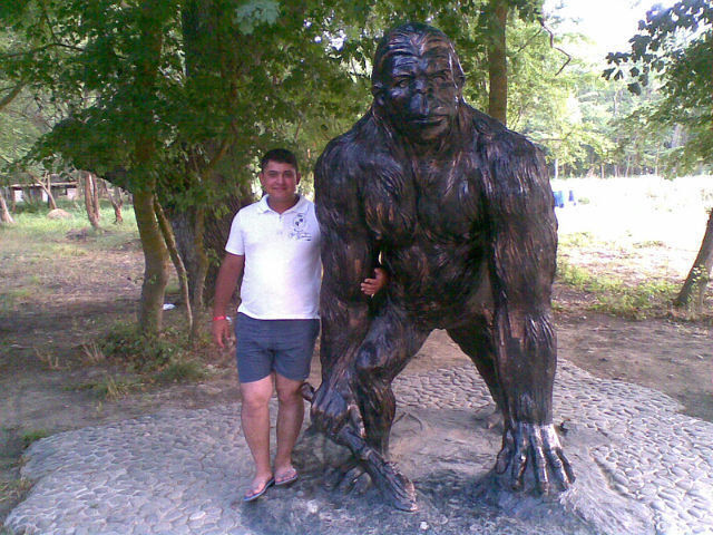  ,   Rac, 40 ,   