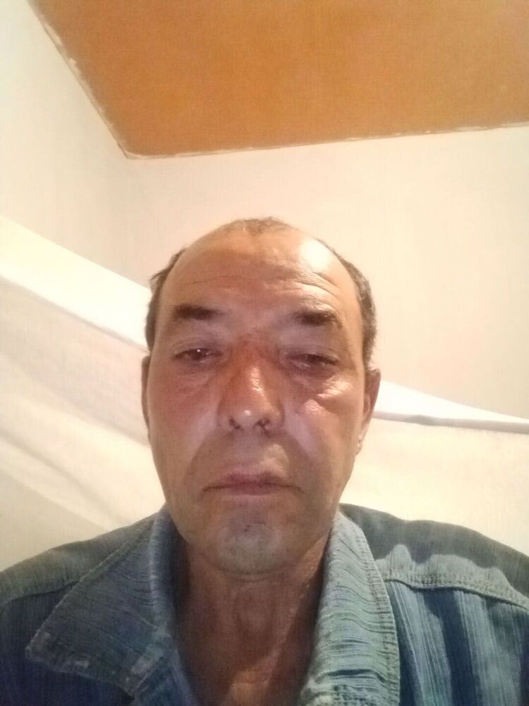  37684215  , 61 ,    