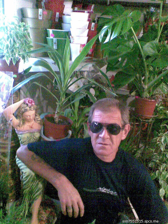  ,   , 56 ,   