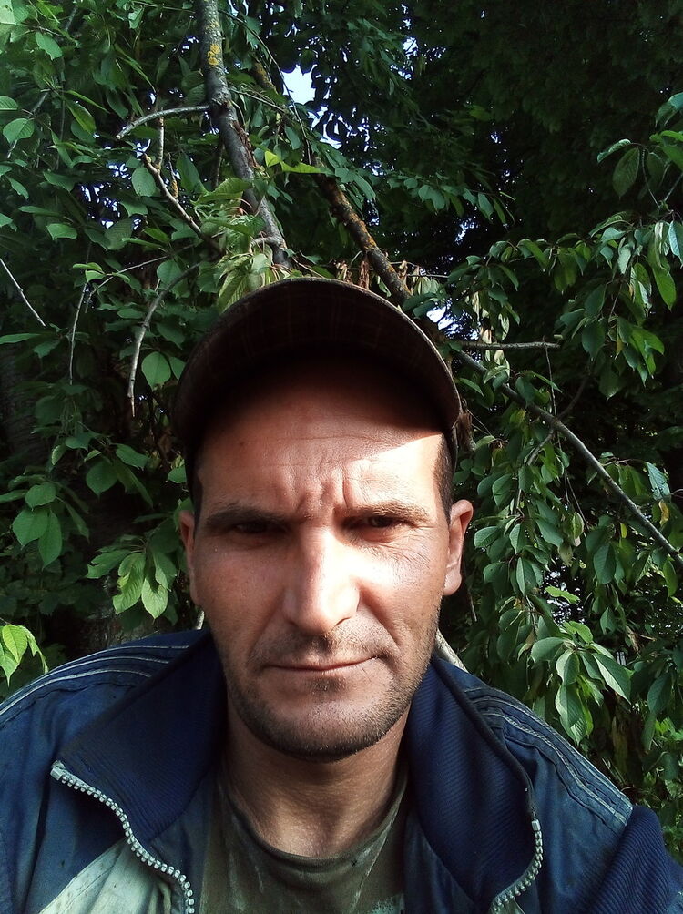  ,   , 46 ,   ,   , c , 