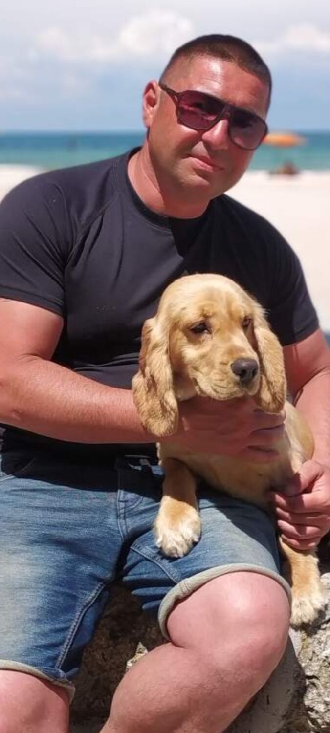 ���� 43104615 ������� ����, 42 ����, ���� ���������� � �����������