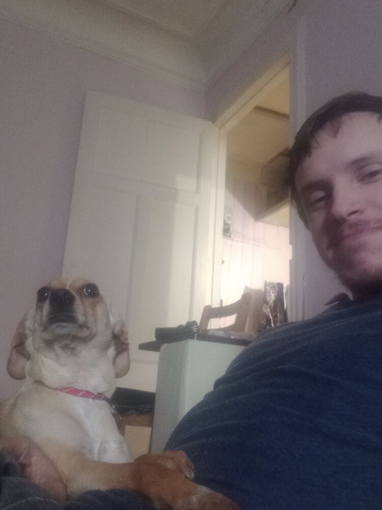  30855895  Maxim, 26 ,    -