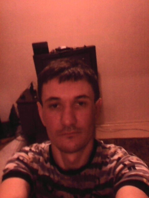  ,   Volf, 42 ,     , c 