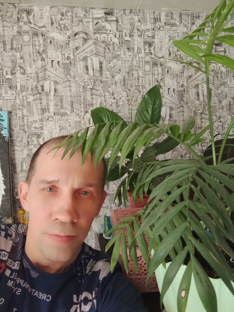 ���������� ����, ���� ������� ����, 47 ���, ������������ ��� ������, ����� � ���������, c�������� ���������, ���������