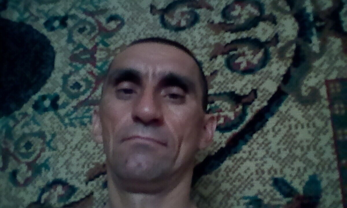  21200155  , 49 ,    