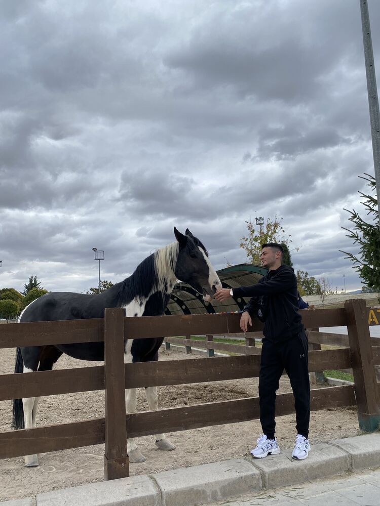 ���������� ������, ���� ����� Aksam, 23 ����, ������������ ��� ������, ����� � ���������