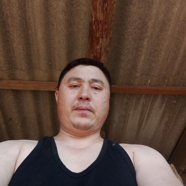  43763725  , 44 ,    