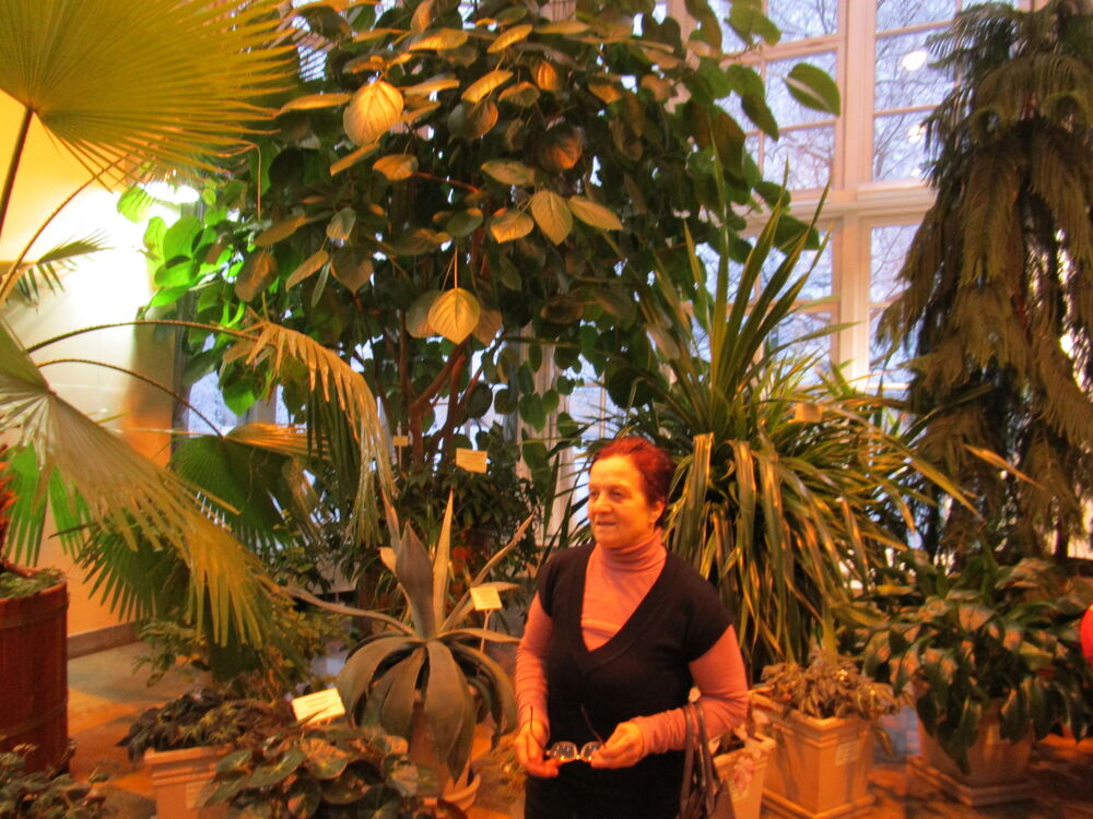 ���� 55755825 ������� �����, 70 ���, ���� ���������� � �������