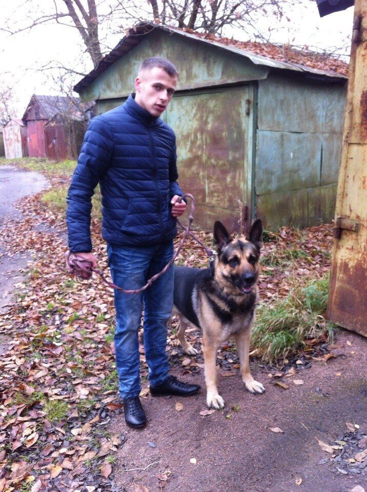 ���� 24654085 ������� �����, 33 ����, ���� ���������� � �����-����������