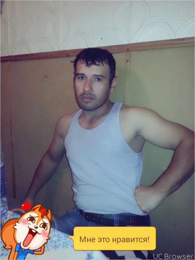  6534395  , 39 ,    