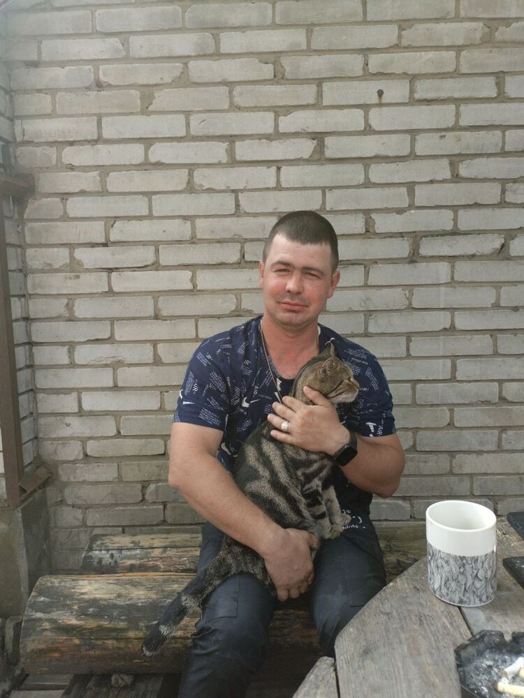  47698035  , 33 ,    