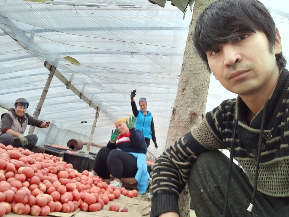 ���������� �������, ���� ������� ������, 35 ���, ������������ ��� ����� � ���������, c�������� ���������