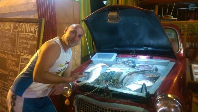 ���������� �����, ���� ������� ������, 44 ����, ������������ ��� ������, ����� � ���������, c�������� ���������