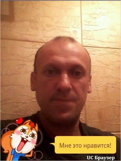  6639845  , 51 ,    