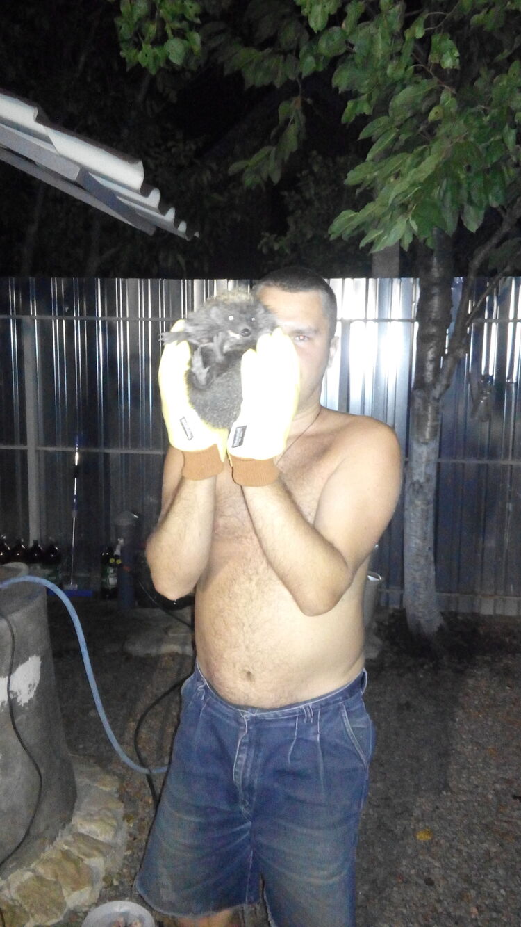 ���� 40484605 ������� ����, 39 ���, ���� ���������� � ������