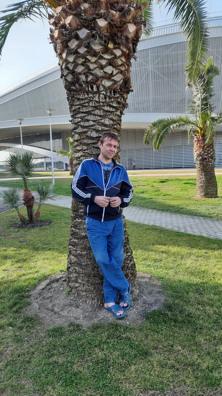 ���� 26569985 ������� �������, 50 ���, ���� ���������� � �����-����������