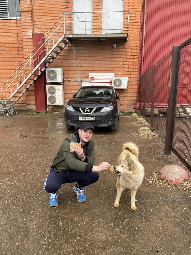 ���������� ������, ���� ������� �����, 31 ���, ������������ ��� ������, ����� � ���������