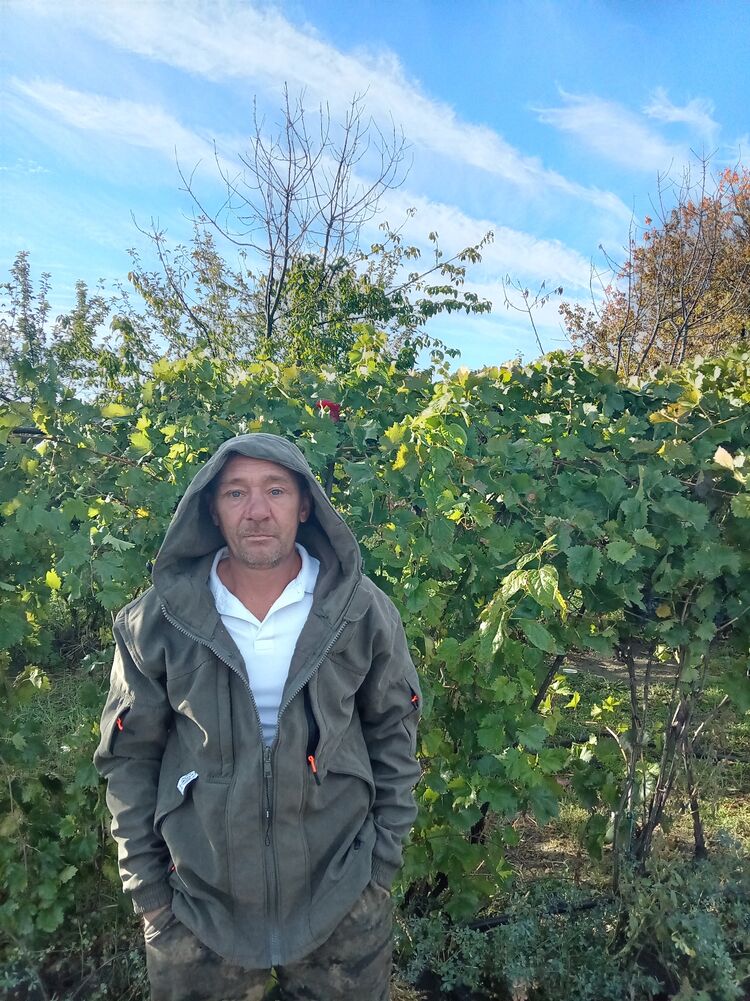  53987675  , 45 ,    --