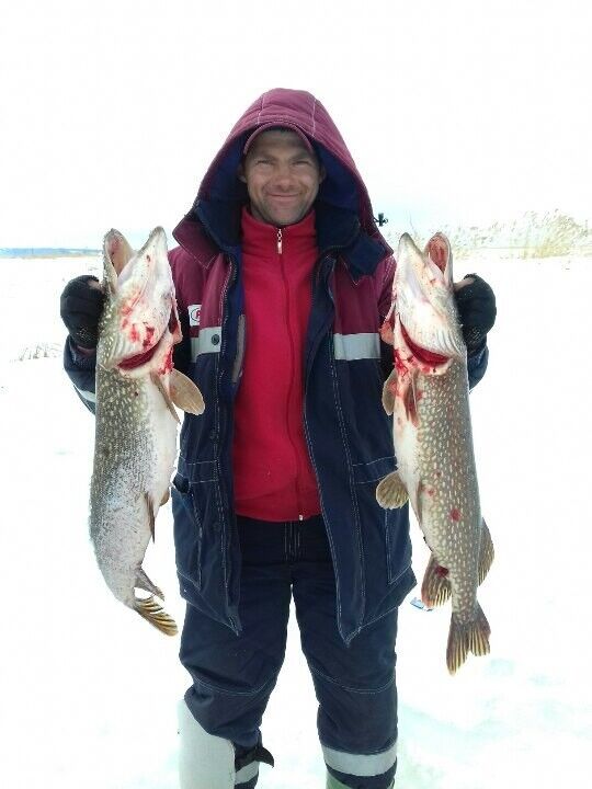 ���������� ������, ���� ������� ������, 38 ���, ������������ ��� ������