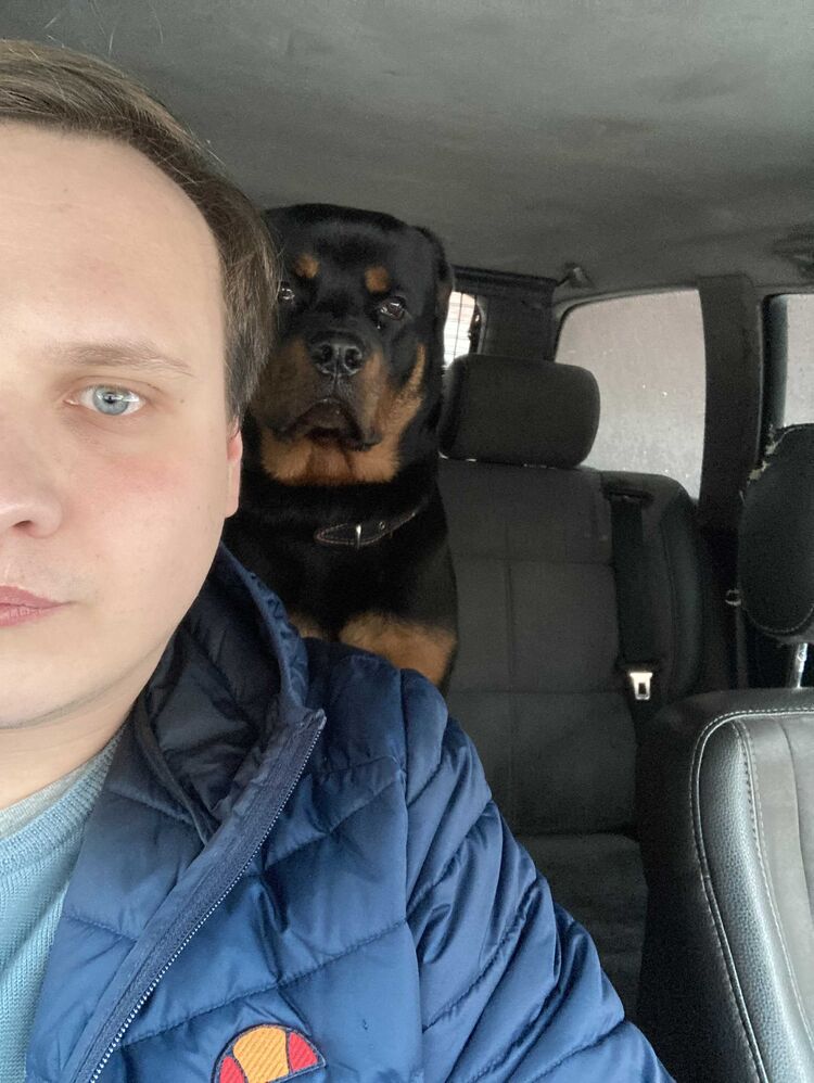  29593905  , 32 ,    -