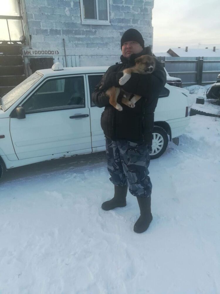  26690925  Sergey, 44 ,    