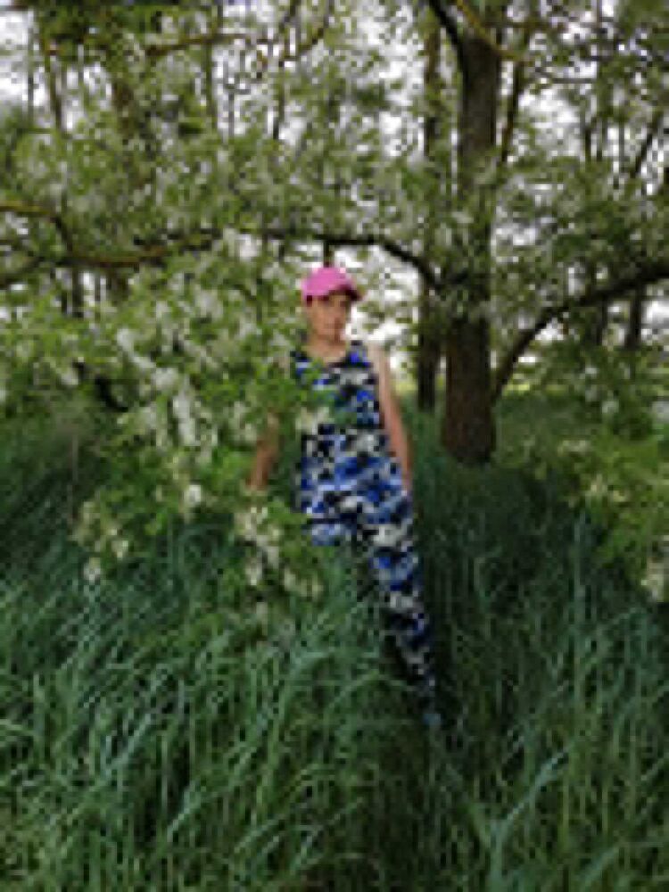 ���������� ���������, ���� ������� ���, 38 ���, ������������ ��� ����� � ���������, ���������