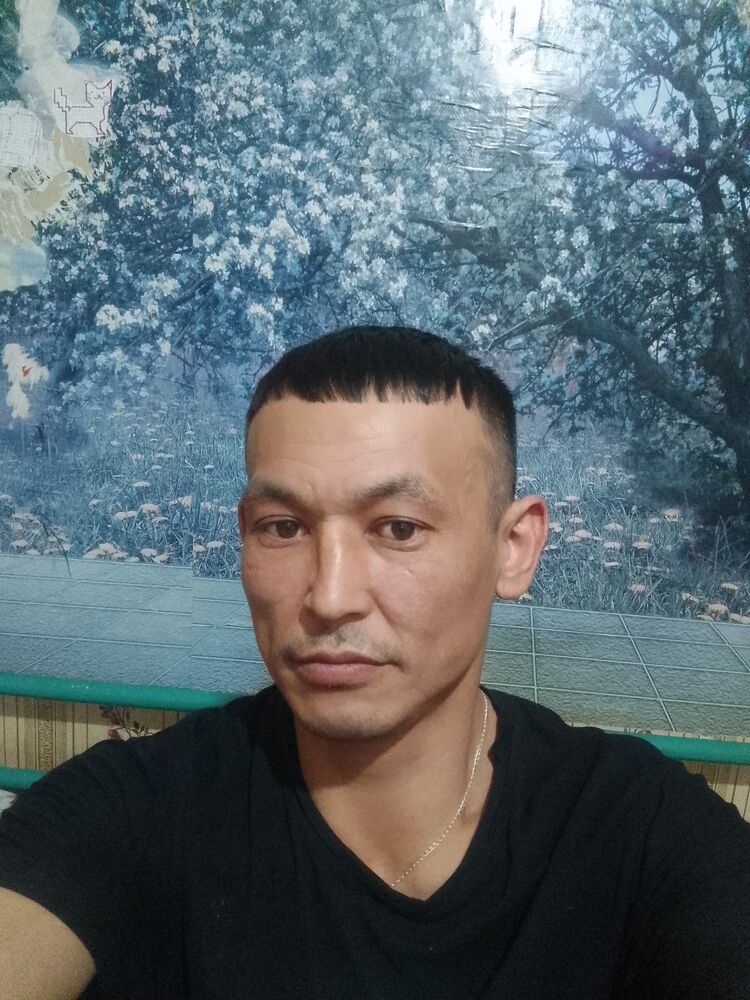 48886845  , 36 ,    