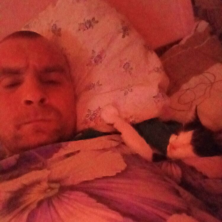 ���� 47590605 ������� ����������, 36 ���, ���� ���������� � �����-����������