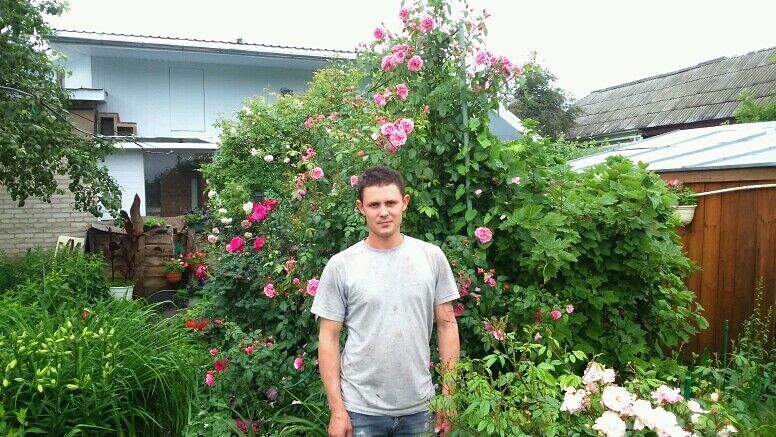 ���� 38627815 ������� ����, 39 ���, ���� ���������� � ��������