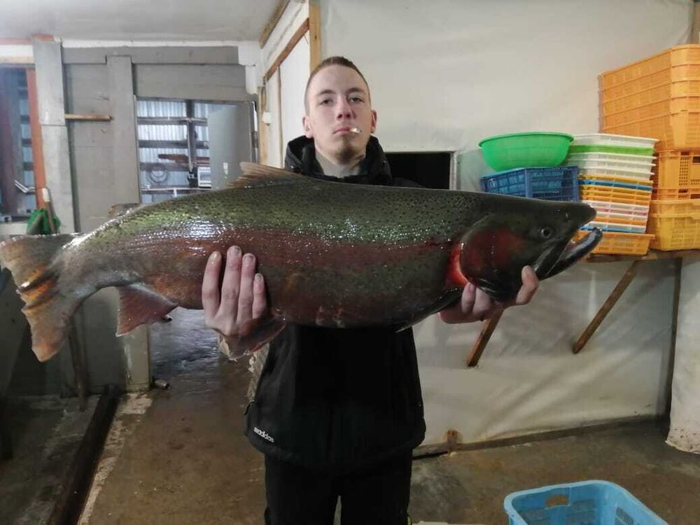 ���������� �������������-����������, ���� ������� ������, 36 ���, ������������ ��� ������, ����� � ���������, c�������� ���������, ���������