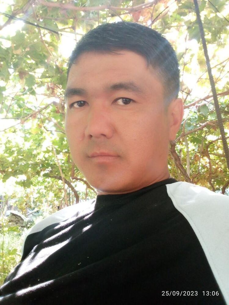 ���� 42410235 ������� ����, 38 ���, ���� ���������� � ������