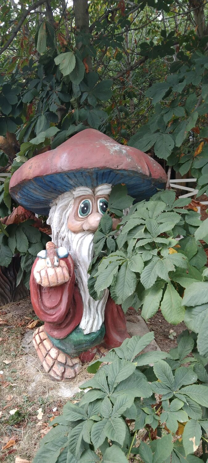 ���� 30783305 ������� ����, 50 ���, ���� ���������� � ������