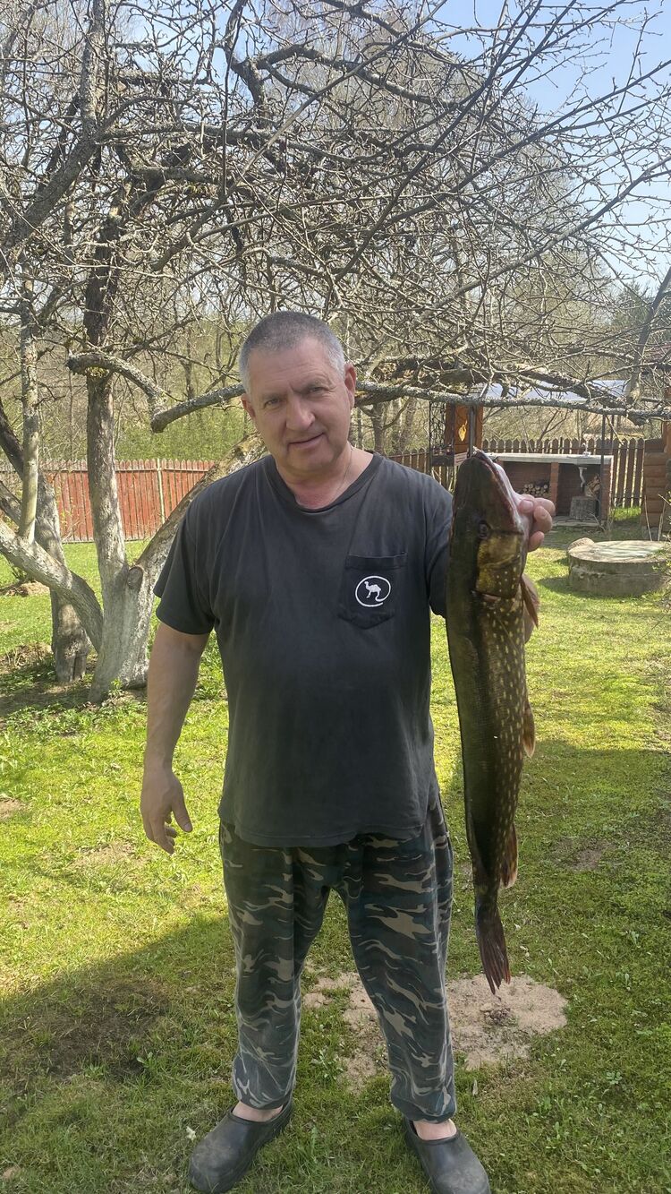  54649815  , 55 ,    -