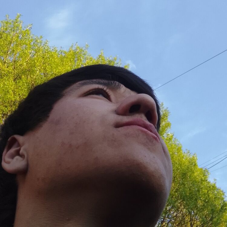 ���������� �����-���������, ���� ����� �������, 22 ����, ������������ ��� ������, ����� � ���������