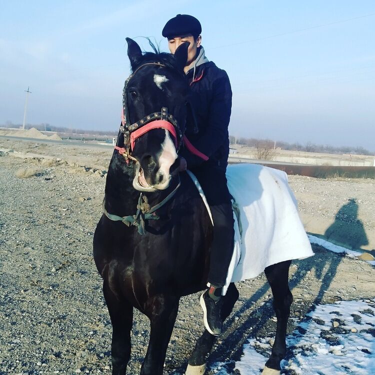 ���������� �������, ���� ������� ������, 34 ����, ������������ ��� ������, ����� � ���������