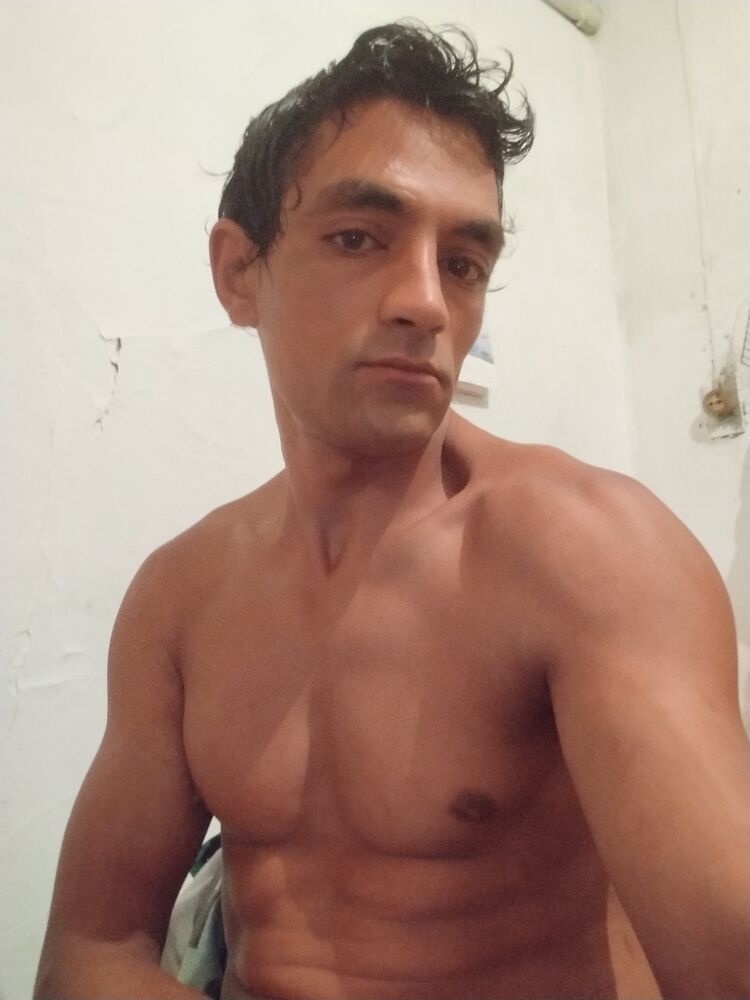  46598055  , 29 ,    