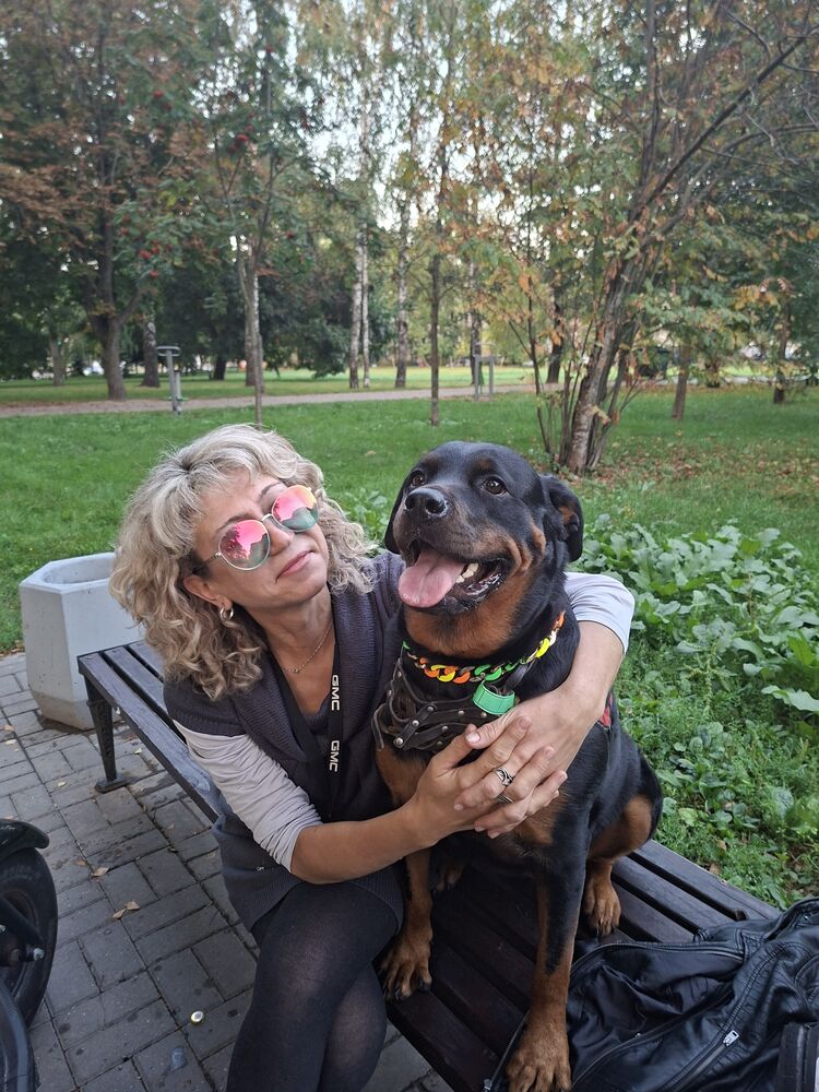 ���� 56011665 ������� ����, 50 ���, ���� ���������� � ������