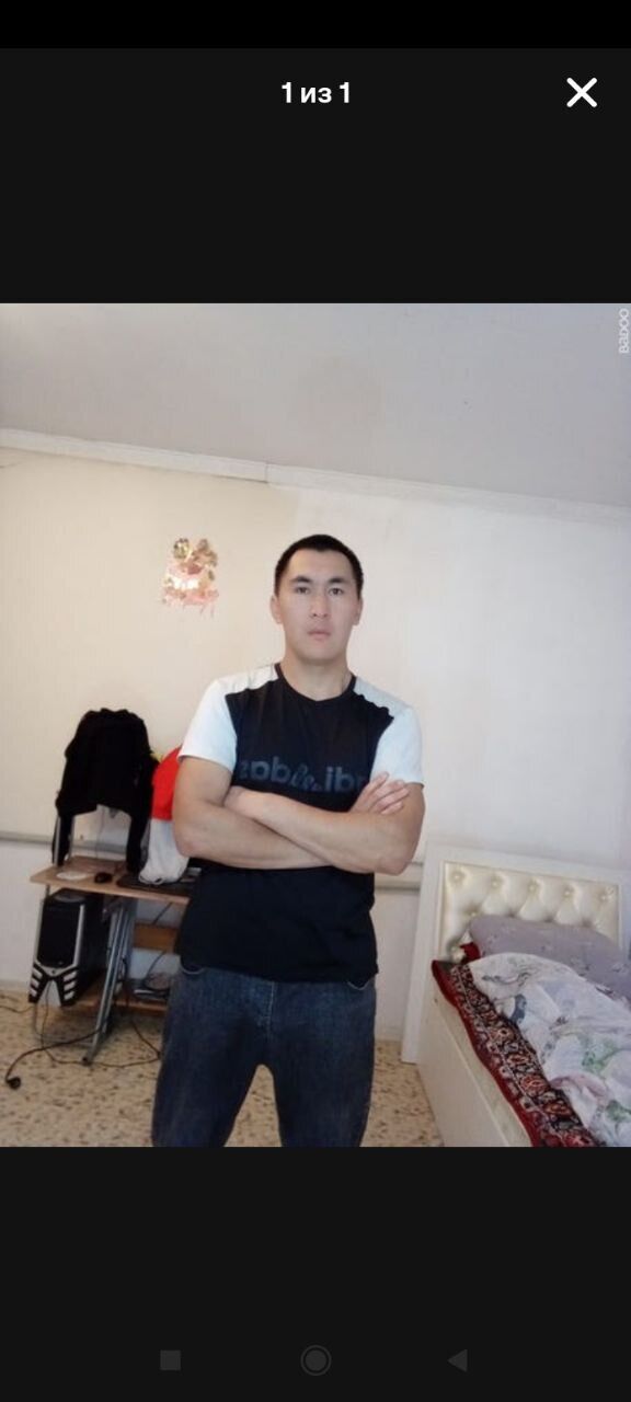  51696365  , 29 ,    