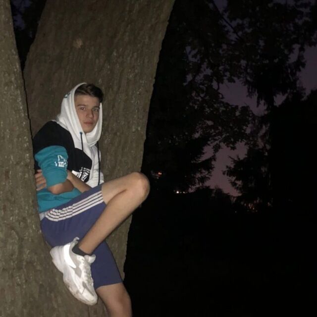  31787005  , 22 ,    -